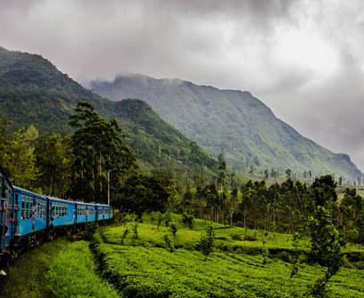 Tea Plantation Tours