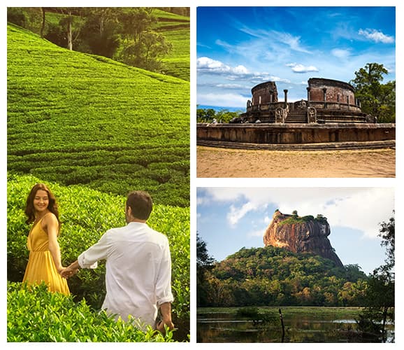 Sri Lanka Epic Tours - Tea plantations, ancient temples, and Sigiriya Rock
